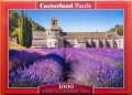 1000 Lavender Field in Provence, France.jpg