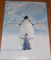 1000 Pinguin und Kueken1.jpg