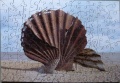 140 Scallop - A Tribute to Benjamin Britten and his Life on the Suffolk Coast1.jpg
