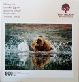 500 Splashing Bear.jpg