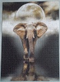 1000 The Elephant1.jpg