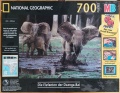 700 Die Elefanten der Dzanga-Bai.jpg