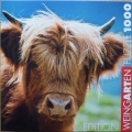 1000 Highland Cow.jpg
