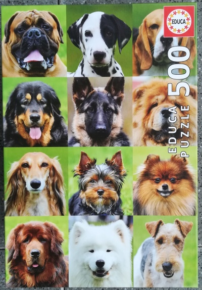 500 Dogs Collage.jpg