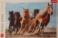 1000 Galloping horses.jpg