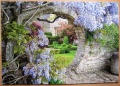 250 Secret Garden (Biddestone Manor)1.jpg