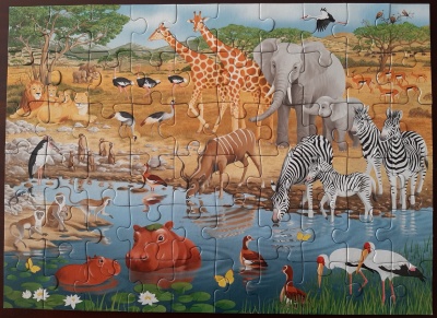 60 Wildlife in Africa1.jpg