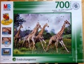 700 Giraffen Botswana.jpg