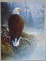 1000 Eagle in the Mist1.jpg