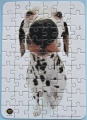 54 Dalmatian (1)1.jpg