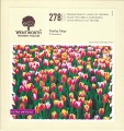 278 Trial by Tulips.jpg