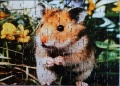 80 (Hamster)1.jpg