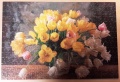 300 Tulpen1.jpg