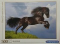 500 Fresian Black Horse.jpg