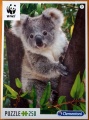 250 (Koala).jpg