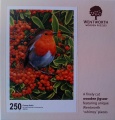 250 Orange Robin.jpg