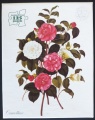 125 Camellias.jpg