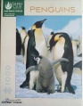 1000 Penguins (2).jpg