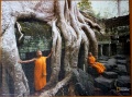 700 Wurzelgeflechte in Angkor Wat1.jpg
