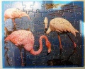 48 (Flamingos)1.jpg