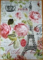 1000 Paris Roses1.jpg