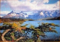 1000 Patagonien, die Anden1.jpg