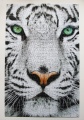 1000 (Tigerportraet)1.jpg