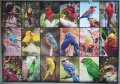 1000 Collage - Die schoensten Voegel der Welt1.jpg