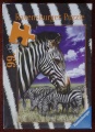 99 Zebras.jpg