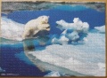 1000 Polar Bear1.jpg