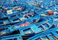 250 Fishing Boats1.jpg