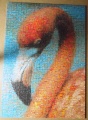 500 Flamingo1.jpg