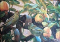 250 The Greenfinches of Lemon Grove1.jpg