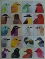 1000 Avian Friends1.jpg