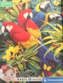 1000 Majestic Macaws.jpg
