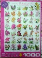 1000 Orchideen.jpg