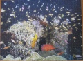 700 Korallenriff, Papua - Neuguinea1.jpg