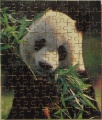 99 (Panda)1.jpg