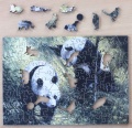 140 Panda Pair2.jpg