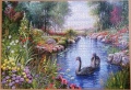 1500 Black Swans1.jpg