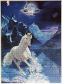 1000 The white stallion (1)1.jpg