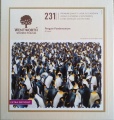 231 Penguin Pandemonium.jpg