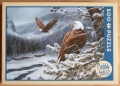500 Winter Eagles.jpg