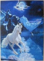 1000 The white stallion (2)1.jpg