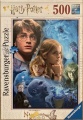 500 Harry Potter in Hogwarts.jpg