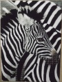 555 (Zebra)1.jpg