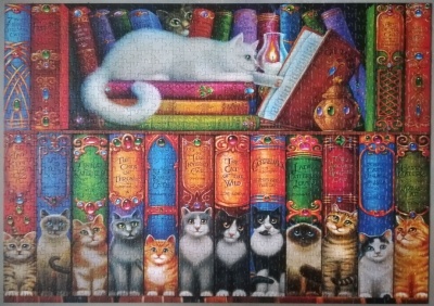 1000 Cat Bookshelf1.jpg