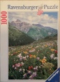 1000 Blumenwiese vor Mount Sneffles.jpg