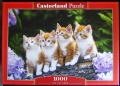 1000 The Cat Crew.jpg