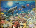 2000 Leben im Korallenriff1.jpg